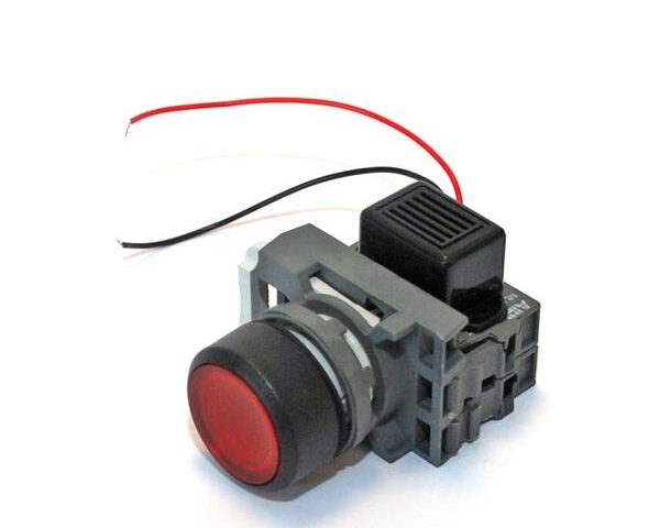photo of Switch button with buzzer 12V